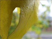 29a