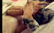 Roksana_Stepien