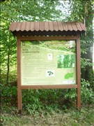 P1260638